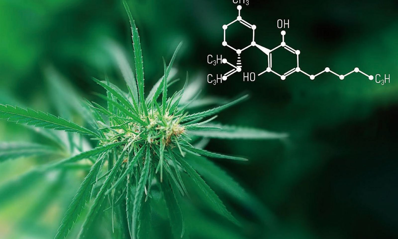 Bet¡¤365(ÑÇÖÞ)Ψһ¹Ù·½ÍøÕ¾