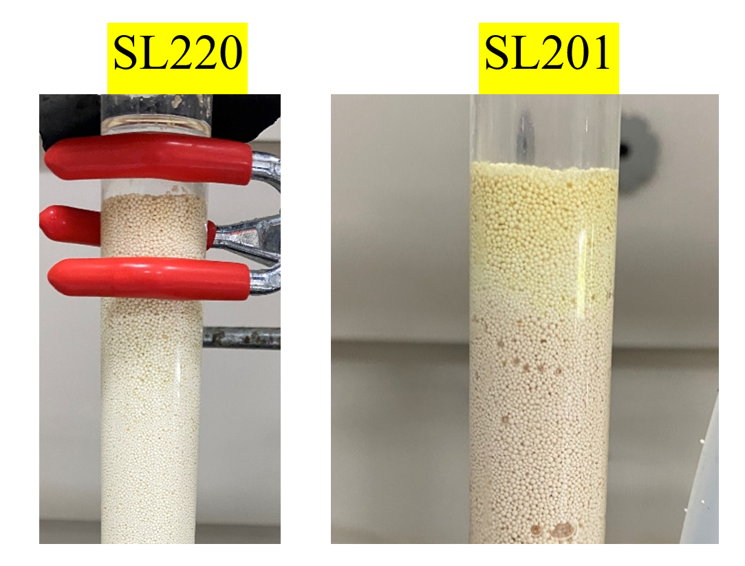 Bet·365(亚洲)唯一官方网站