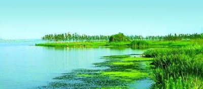 ˮ칲һɫbet365ΨһΪƯй»