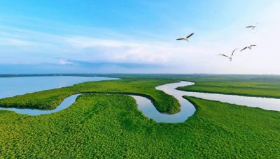 ˮ뻭bet365ΨһƯй̬ɫ