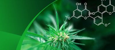 bet365Ψһֲȡơȥũר֬ӦС